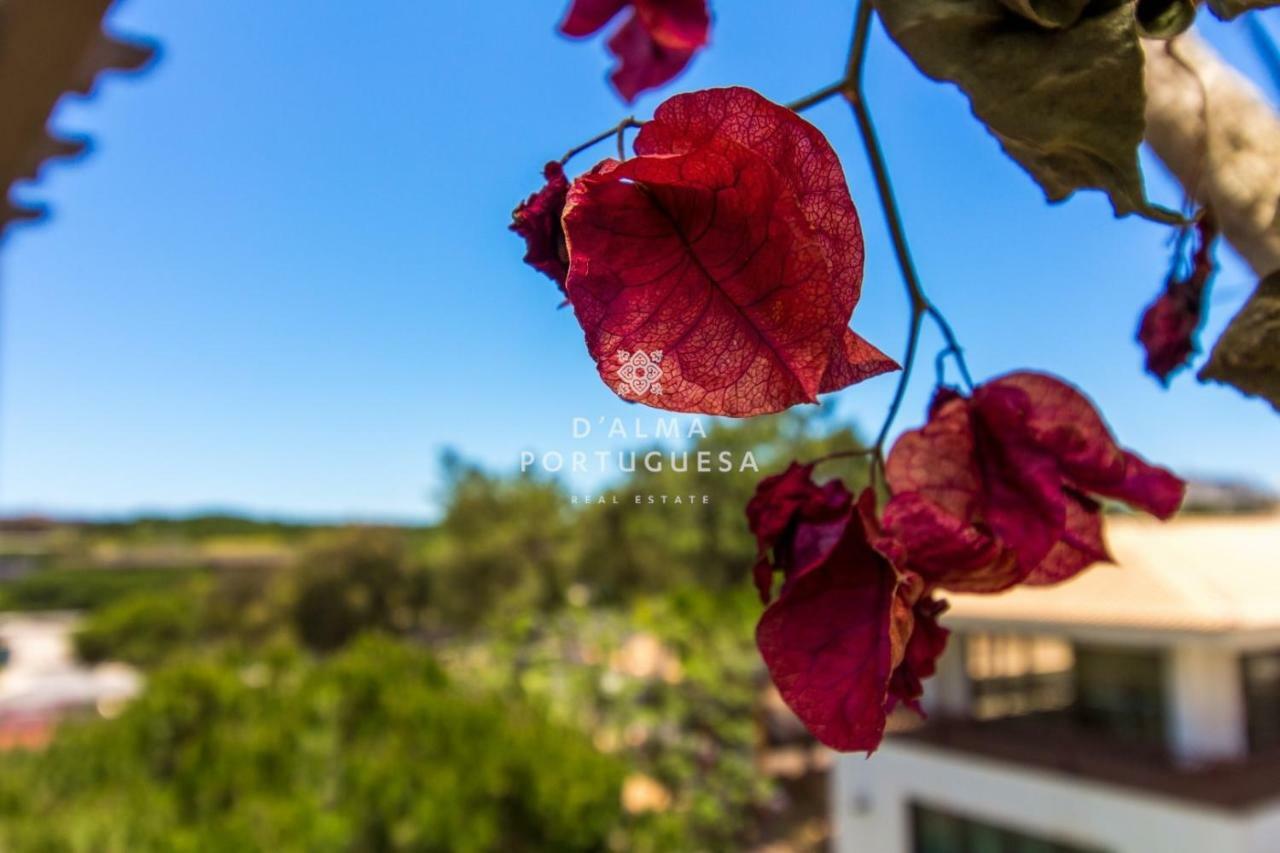 D'Alma Falesia Beach Apartment - By Dalma Portuguesa Albufeira Buitenkant foto